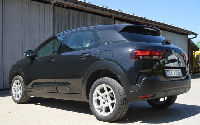 Citroen C4 Cactus cena 49700 przebieg: 83600, rok produkcji 2018 z Biskupiec małe 67